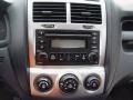 Satin Silver - Sportage EX V6 4WD Photo No. 11