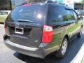 2008 Midnight Black Kia Sedona LX  photo #2