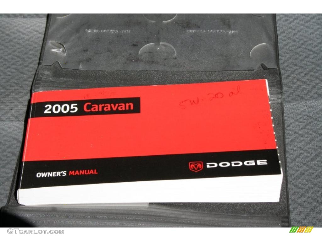 2005 Grand Caravan SXT - Magnesium Pearl / Medium Slate Gray photo #9