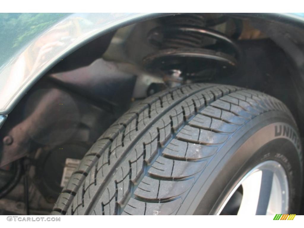 2005 Grand Caravan SXT - Magnesium Pearl / Medium Slate Gray photo #28