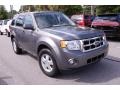 2010 Sterling Grey Metallic Ford Escape XLT V6  photo #1