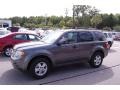 2010 Sterling Grey Metallic Ford Escape XLT V6  photo #2