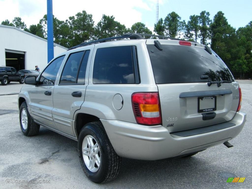 2004 Grand Cherokee Laredo - Light Pewter Metallic / Dark Slate Gray photo #3