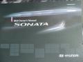 Radiant Silver - Sonata GLS Photo No. 10