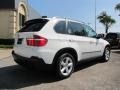 Alpine White - X5 3.0si Photo No. 6