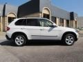 Alpine White - X5 3.0si Photo No. 7