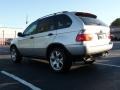 Titanium Silver Metallic - X5 3.0i Photo No. 4