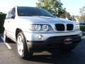 Titanium Silver Metallic - X5 3.0i Photo No. 14