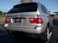 Titanium Silver Metallic - X5 3.0i Photo No. 15