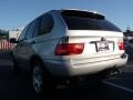 Titanium Silver Metallic - X5 3.0i Photo No. 16
