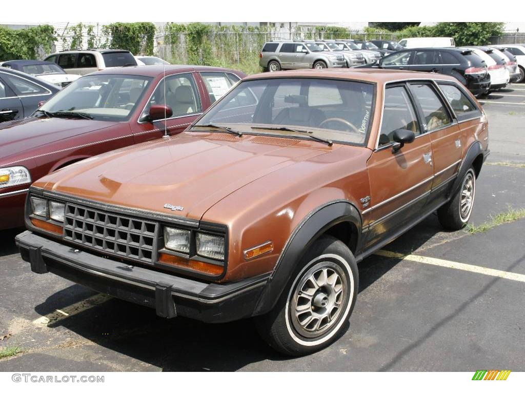 Rustic Bronze 1983 AMC Eagle Series 30 Wagon Exterior Photo #3238125