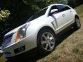 Platinum Ice Tricoat - SRX V6 Photo No. 1