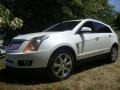 Platinum Ice Tricoat - SRX V6 Photo No. 2