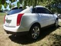 Platinum Ice Tricoat - SRX V6 Photo No. 7