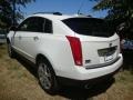 Platinum Ice Tricoat - SRX V6 Photo No. 9