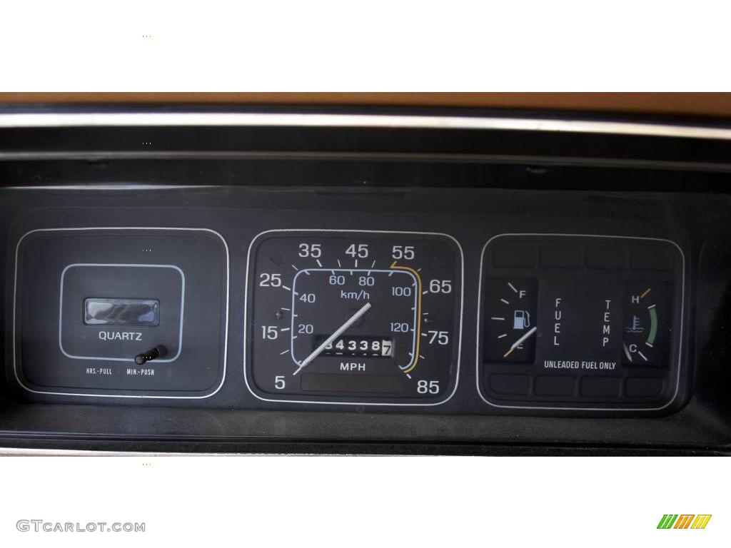 1983 AMC Eagle Series 30 Wagon Gauges Photos