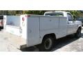 1994 White Ford F250 XL Regular Cab Chassis Utility  photo #6
