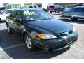 Polo Green Metallic - Grand Am GT Sedan Photo No. 3