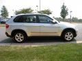 Titanium Silver Metallic - X5 xDrive35d Photo No. 7