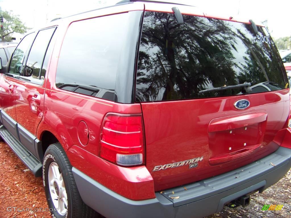 2003 Expedition XLT - Laser Red Tinted Metallic / Medium Parchment photo #5