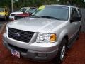 2003 Silver Birch Metallic Ford Expedition XLT  photo #1