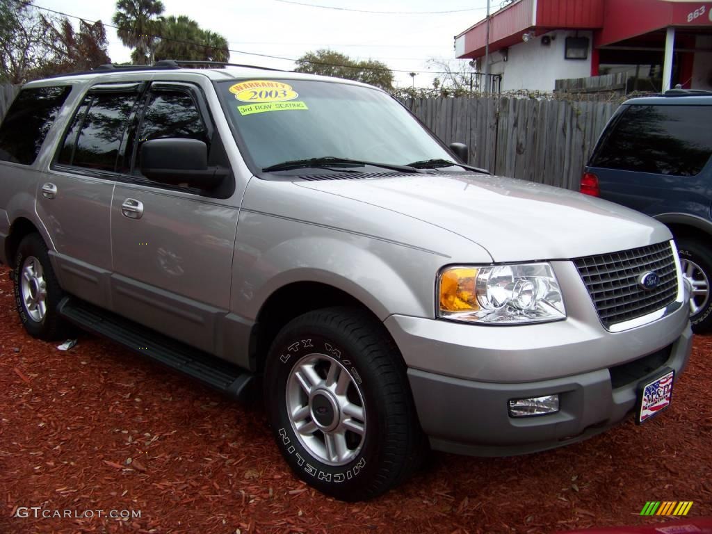 2003 Expedition XLT - Silver Birch Metallic / Flint Grey photo #3