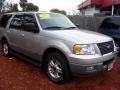 2003 Silver Birch Metallic Ford Expedition XLT  photo #3