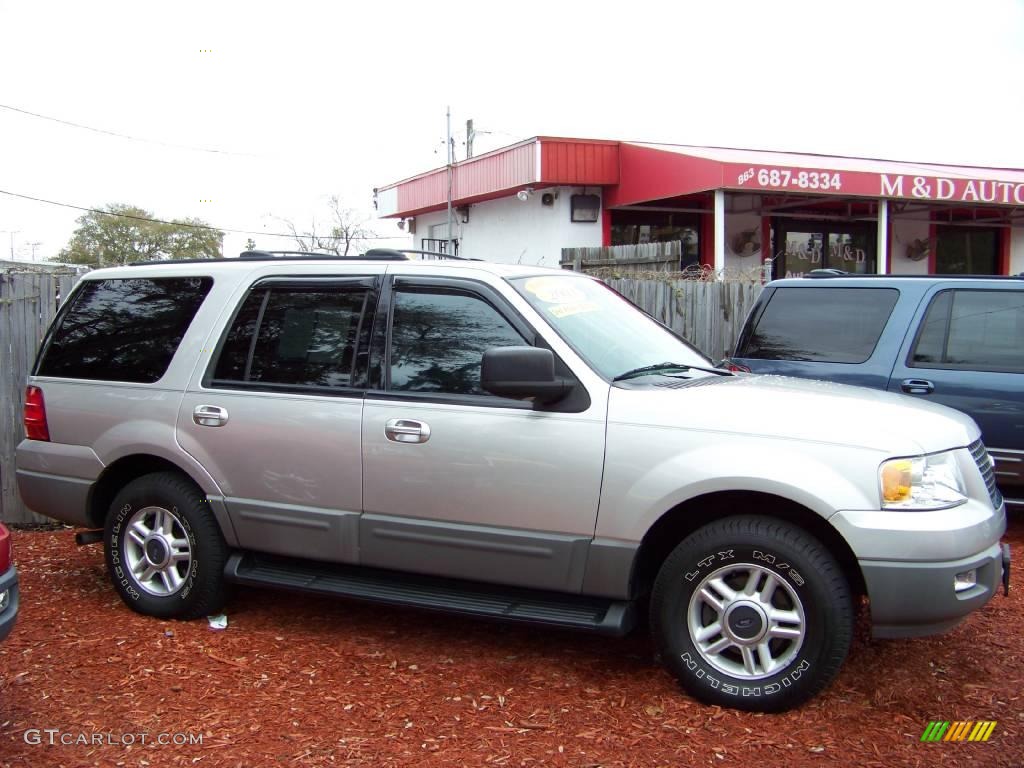 2003 Expedition XLT - Silver Birch Metallic / Flint Grey photo #4