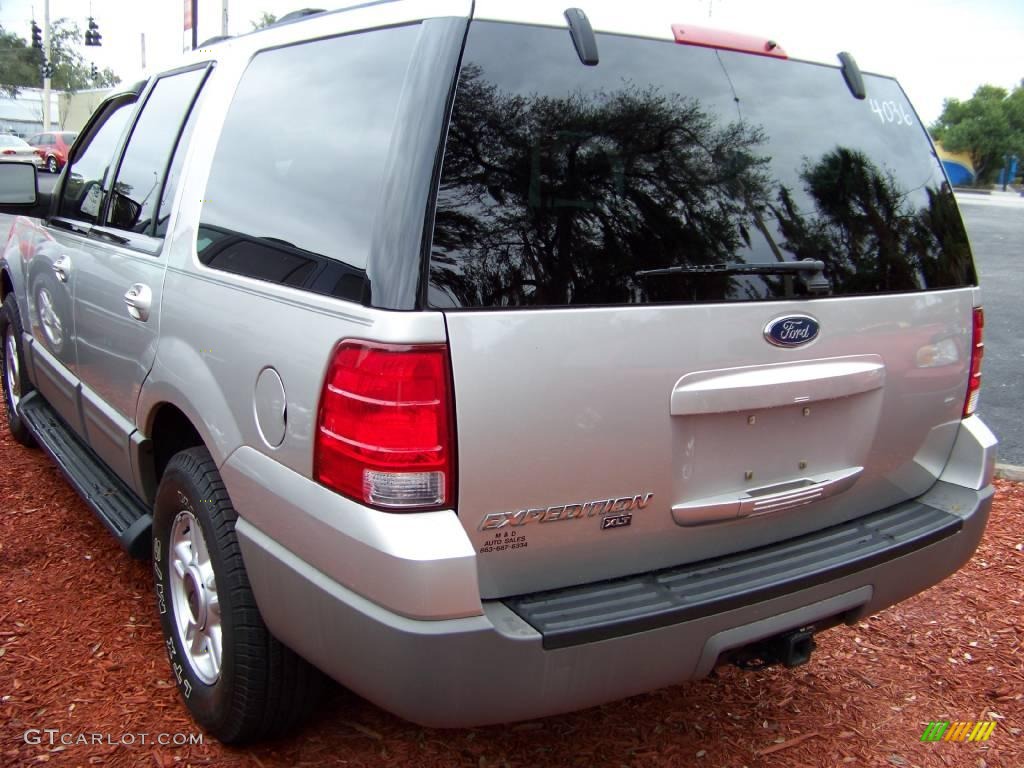 2003 Expedition XLT - Silver Birch Metallic / Flint Grey photo #5