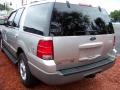 2003 Silver Birch Metallic Ford Expedition XLT  photo #5