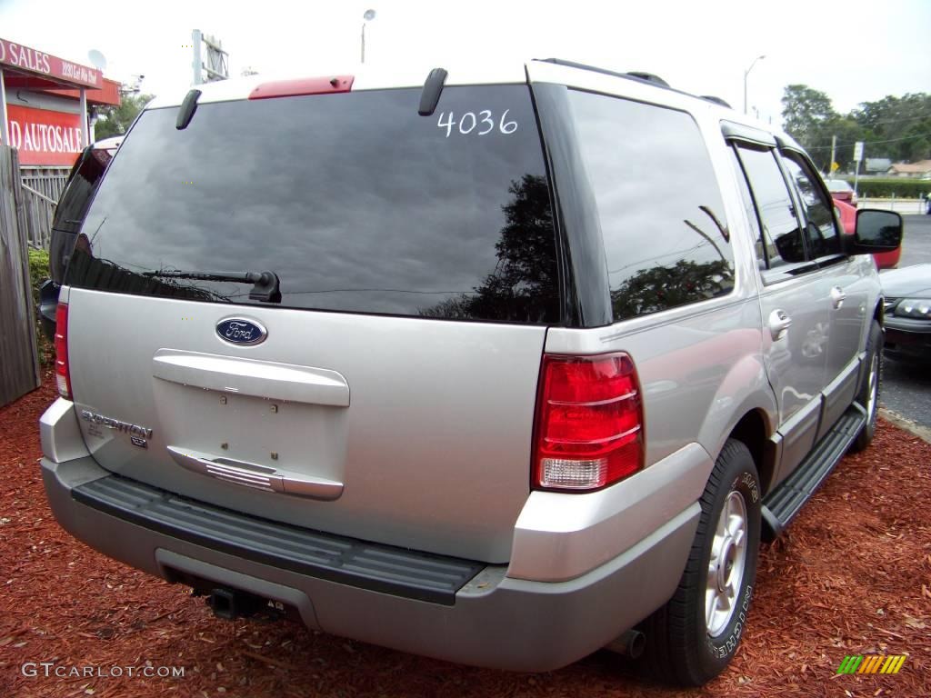 2003 Expedition XLT - Silver Birch Metallic / Flint Grey photo #7