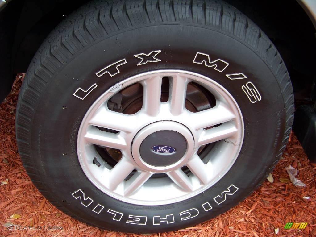 2003 Expedition XLT - Silver Birch Metallic / Flint Grey photo #8