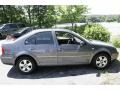 2004 Platinum Grey Metallic Volkswagen Jetta GLS Sedan  photo #4