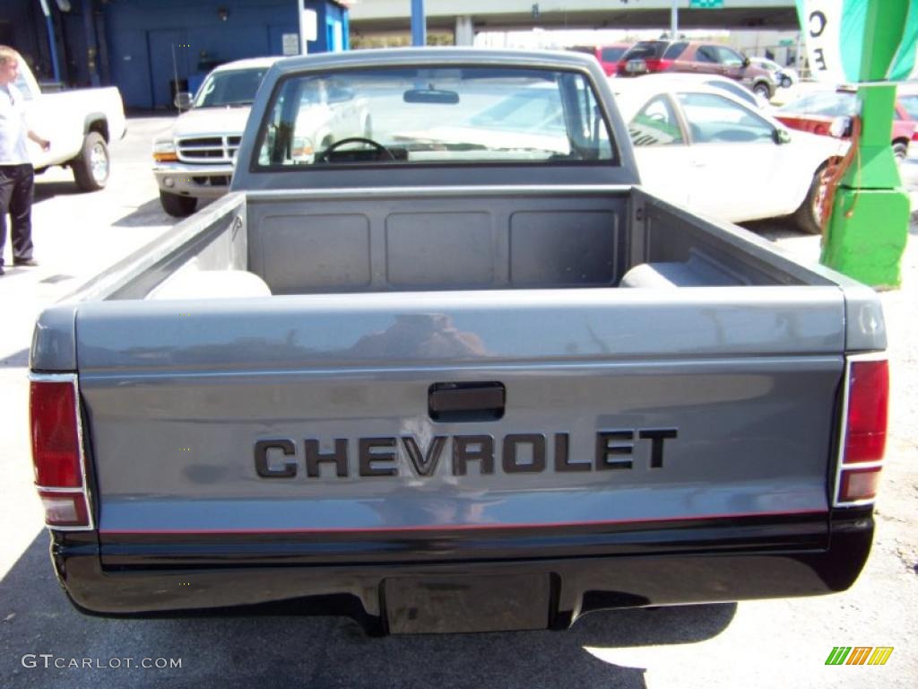 1989 S10 Regular Cab - Midnight Black / Charcoal photo #6