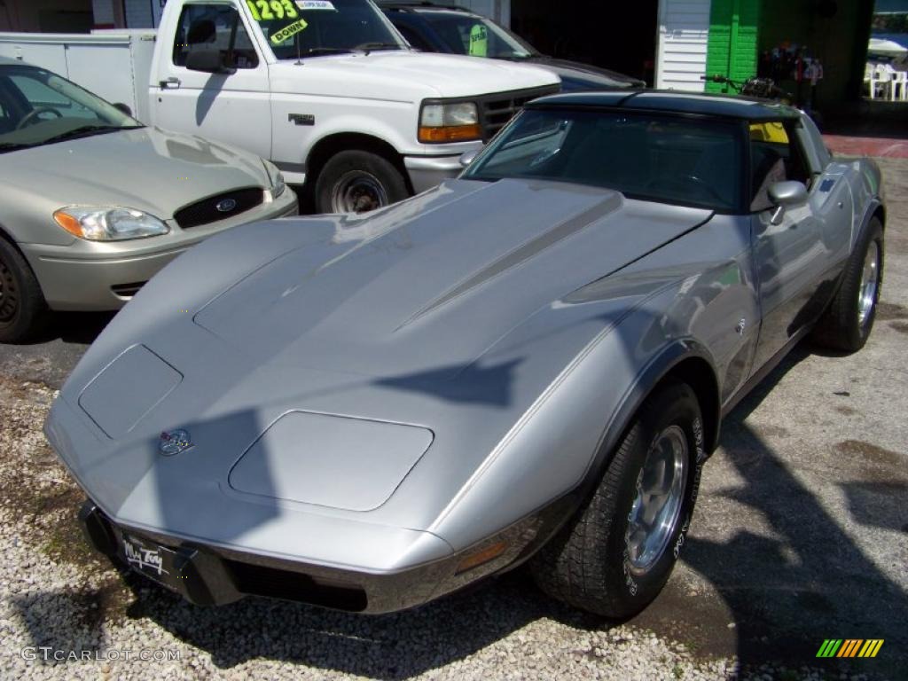 1978 Corvette Anniversary Edition Coupe - Silver Anniversary / Gray photo #1