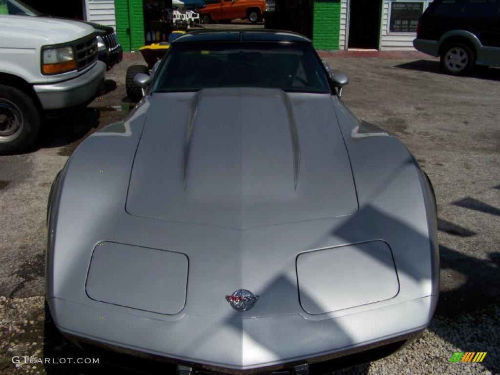 1978 Corvette Anniversary Edition Coupe - Silver Anniversary / Gray photo #2