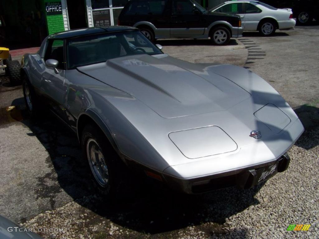 1978 Corvette Anniversary Edition Coupe - Silver Anniversary / Gray photo #3