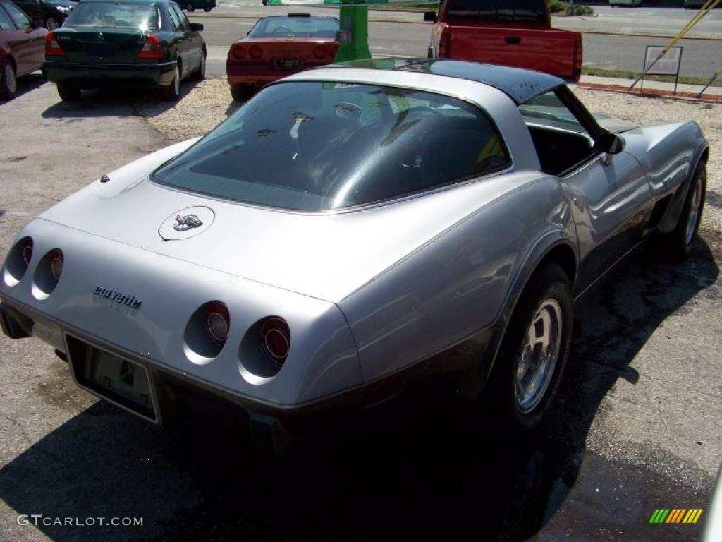 1978 Corvette Anniversary Edition Coupe - Silver Anniversary / Gray photo #7