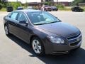 2010 Taupe Gray Metallic Chevrolet Malibu LT Sedan  photo #5