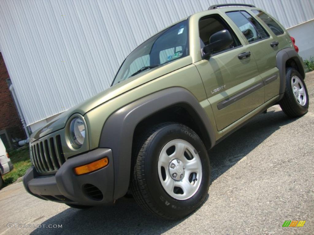 2004 Liberty Sport - Cactus Green Pearl / Taupe photo #1