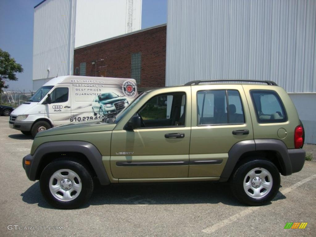 2004 Liberty Sport - Cactus Green Pearl / Taupe photo #11