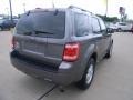 2009 Sterling Grey Metallic Ford Escape XLT  photo #6