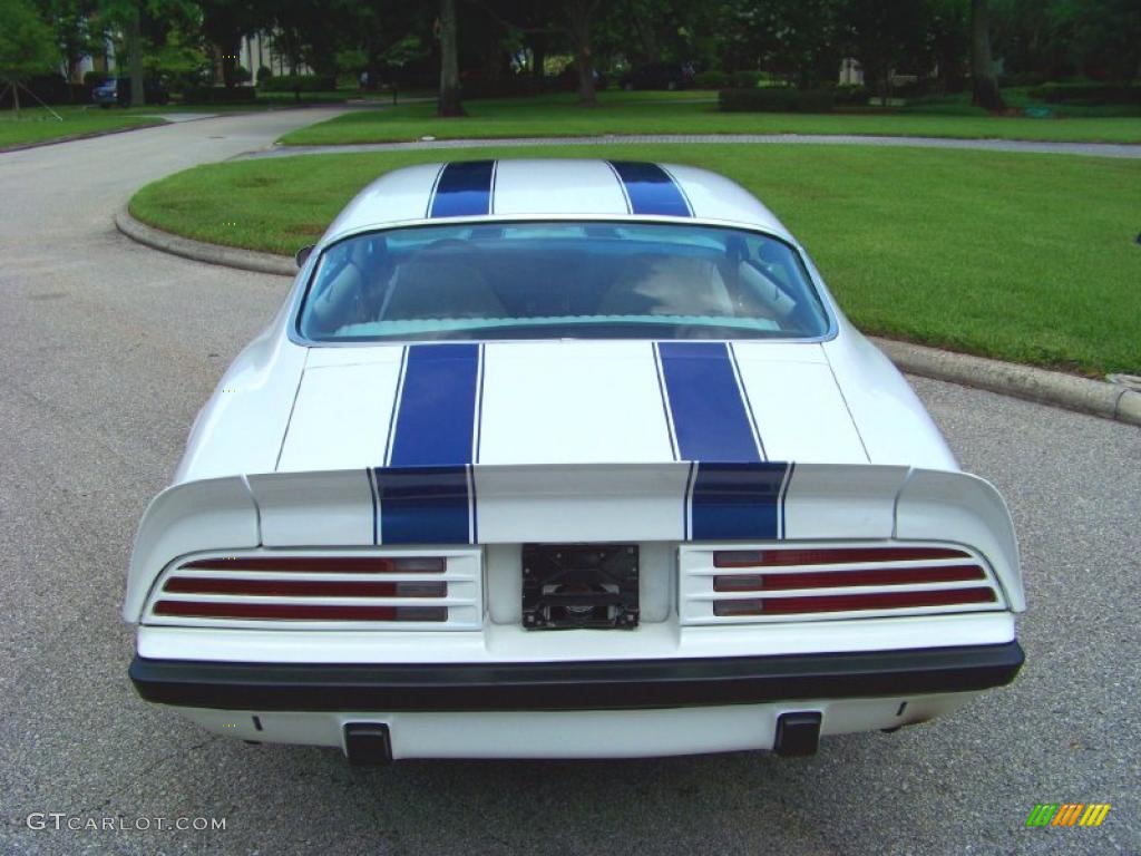 1974 Firebird Formula 400 - Cameo White / White photo #6
