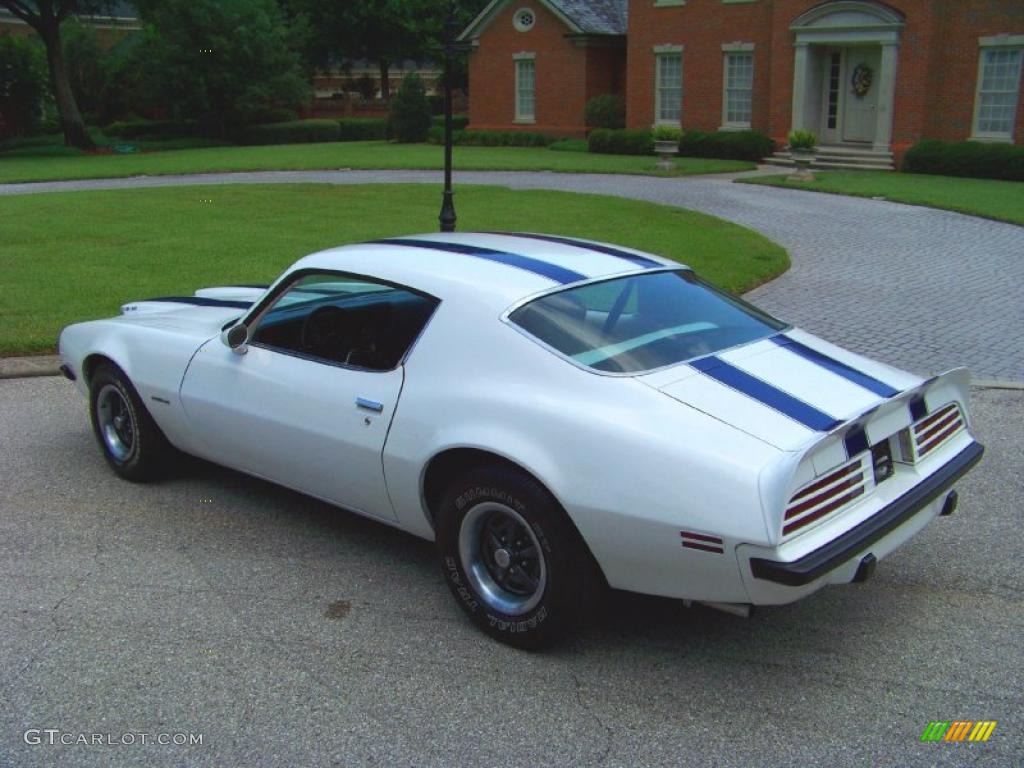 1974 Firebird Formula 400 - Cameo White / White photo #8