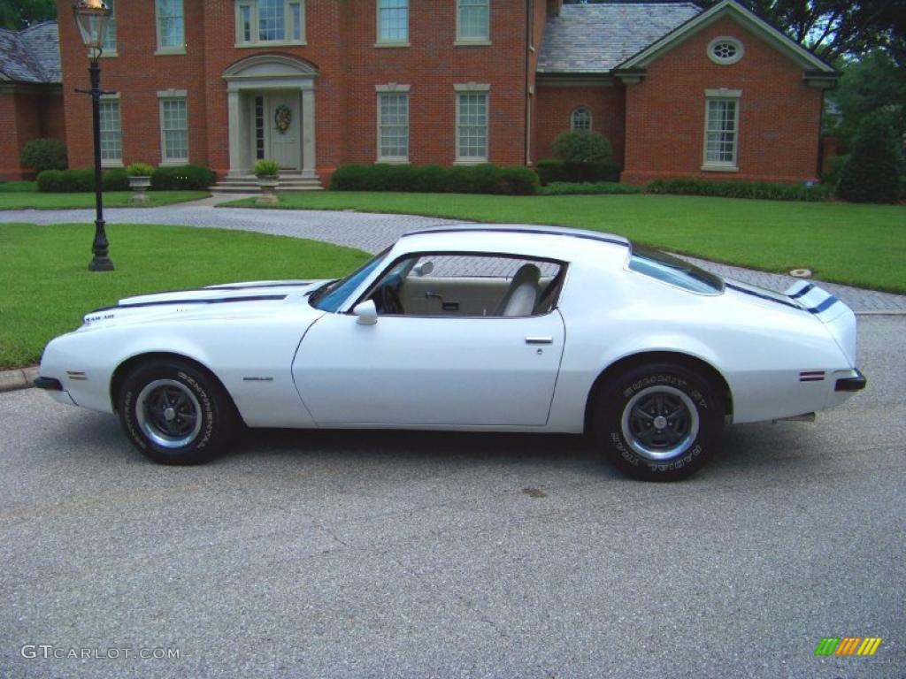 1974 Firebird Formula 400 - Cameo White / White photo #9