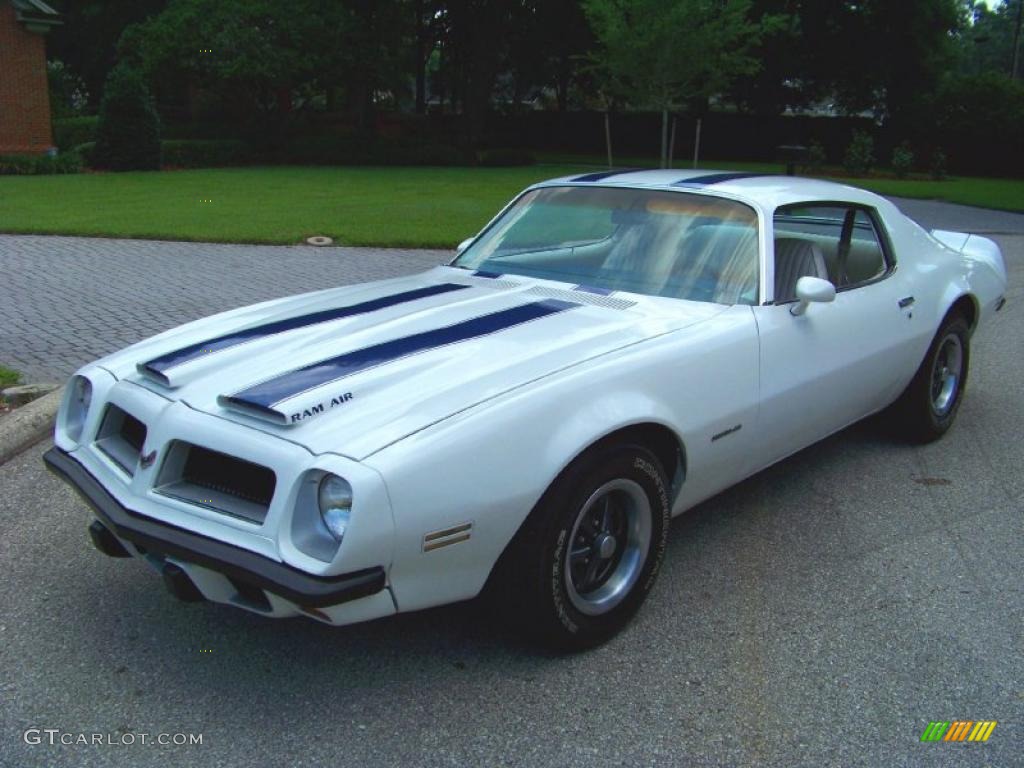 1974 Firebird Formula 400 - Cameo White / White photo #10