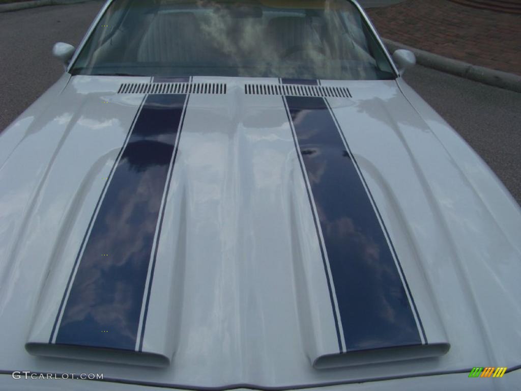 1974 Firebird Formula 400 - Cameo White / White photo #12