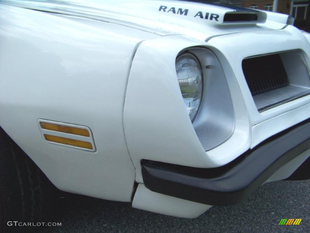 1974 Firebird Formula 400 - Cameo White / White photo #13