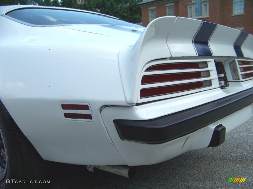 1974 Firebird Formula 400 - Cameo White / White photo #16