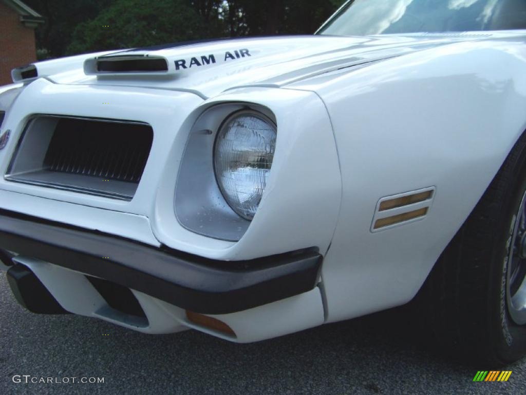 1974 Firebird Formula 400 - Cameo White / White photo #19